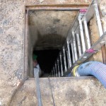 IMG_0011