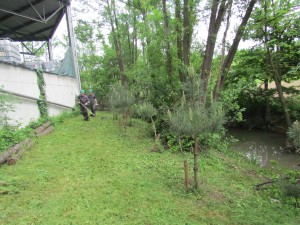 IMG_8589